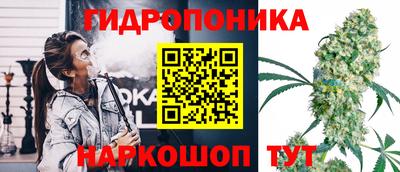 ECSTASY Ижевск